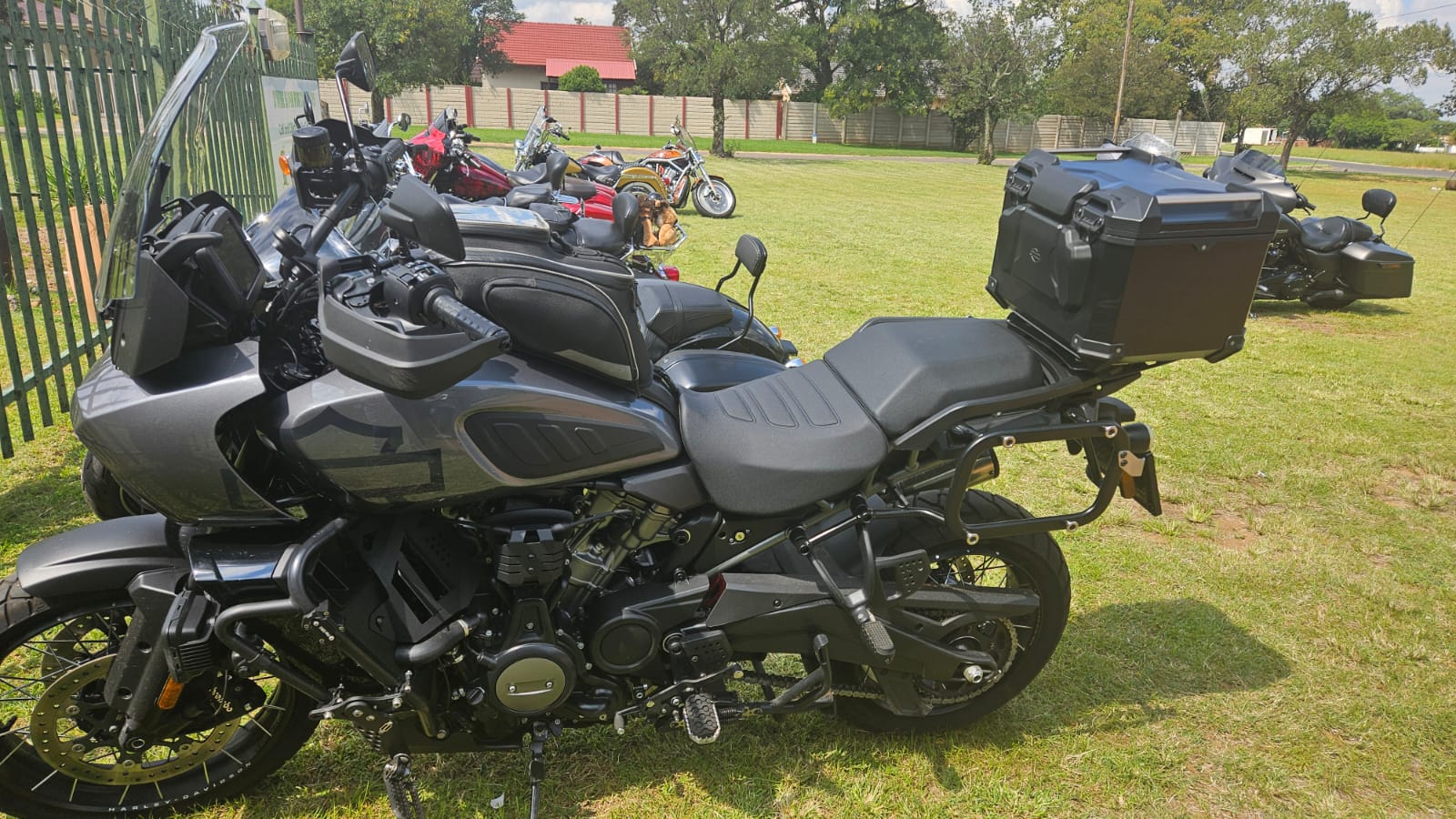 IMG-20250310-WA0019